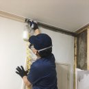 대구방역 이미지