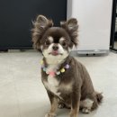 몽스빌리지 이미지