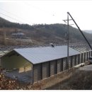 꼬꼬양계농장 이미지