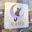 대천동-6 | 안성타로 대천동타로 연애운타로 차꼬타로 후기