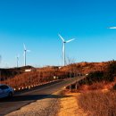 태양이용 이미지