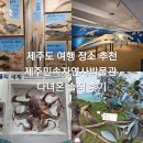 민속자연사박물관 | 제주도 여행 장소 추천 제주민속자연사박물관 다녀온 솔직 후기