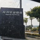 일주동로 | 제주도 동백꽃과 하귤 서귀포 동백명소 숨, 귤림성 단송의 느림보 여행