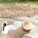 코로나지만, 그래도,강아지산책.사전투표.블로그모임 : 거리만 잘 지킨다면 괜찮은듯.