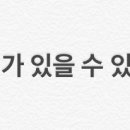 레티샤 엘 이미지