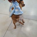 태백동물병원 이미지