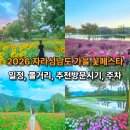 자라섬째즈길 | 9월 가평가볼만한곳 2026가을 자라섬남도꽃정원 축제 일정 볼거리 주차