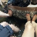 지에스25 우송대미소점 이미지