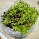 돈유창 독산동 야채곱창 맛집 또또 또간집 포장 후기