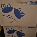 (주)셀렉스(Selex) | 내돈내산 단백질쉐이크추천, 3년째 쟁여템 셀렉스 프로핏[+딸기초코]