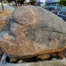 병산리 돌거북상 이미지