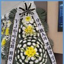 광명화환 심원화원, 깔끔하고 고급스러운 꽃을 선물하세요!