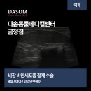 신도시동물병원 | 일광신도시동물병원에서 비장 비만세포종으로 인해 비장절제를 진행한 고양이의 케이스