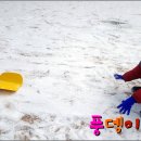 로히네