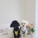 리쌀롱 이미지