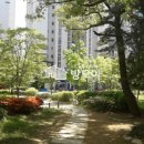 동편마을 4단지 앞 이미지