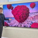 삼성전자, 2026년형 TV 신제품 출시… AI TV 대중화 시대 연다 이미지