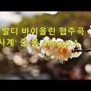 백매화 & 비발디 바이올린 협주곡 '사계' 중 봄 Allegro A & photo by 모모수계 이미지