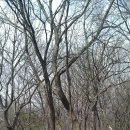 산성초교 이미지