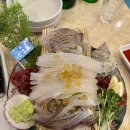산호초등학교 | 논현 술집 산호초, 하루 한정 제철 산오징어회와 모듬 숙성회 후기