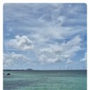 애월이막 이미지