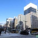 준독 | 홋카이도 비에이 투어 닝구르테라스 여행 후기 날씨 옷차림 방한화