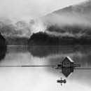 센스쟁이 이미지