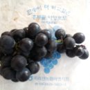 아영민박 이미지