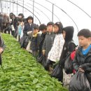 성대초등학교 이미지