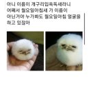 개구리PC방 이미지