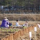 만이농장 이미지