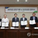 오선식품