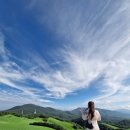 정암목장 | 강원도 양양 1박2일 여행코스,여행후기