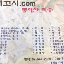 세꼬시닷컴 이미지