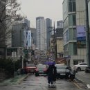 다꾸빌리지 이미지