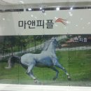 백마축산 이미지