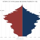 극단 여명 | 대구시 총인구수와 성별, 연령대별 인구 분포와 대구 인구피라미드