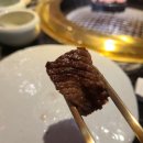 가야부처스 이미지