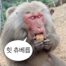 도경푸드 | 아이스아메리카노나 시킬 걸 그랬다