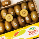 골드푸드 | 밀도푸드 키위 과일꾼 9월 구매후기 제스프리골드키위