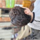 헤어컷 & 펌+ 염색 마스터 | [대구남산동미용실] 펌·염색·컷 전문 넘버원 헤어, 그레이스펌 후기