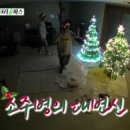 (주)우리트리