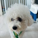 노랭보랭 이미지