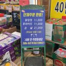 인천 용현동 맛집: 원조 주안닭강정 &amp; 신현숙 계란말이 김밥 내돈내산 솔직 후기
