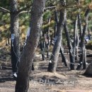 망상오토캠핑리조트 이미지