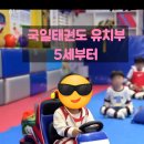 국일태권도장 네이버블로그