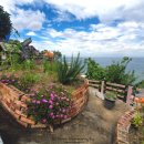 어쩌다어달 이미지