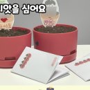 슬기로운언어연구소