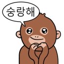 정가네홍두깨칼국수 네이버블로그