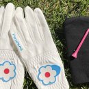 코아 스크린골프 이미지